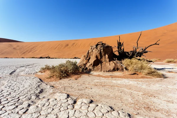 Sossusvlei bela paisagem do vale da morte — Fotografia de Stock