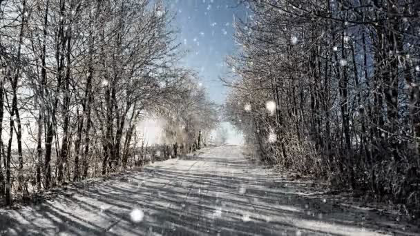 Route d'hiver par une journée ensoleillée avec ciel bleu et neige, fond de Noël — Video