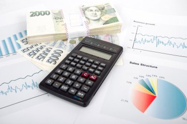 hesap makinesi, grafikler, kalem, business çalışma alanı