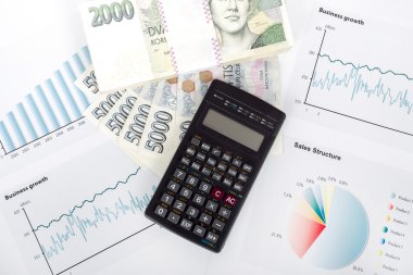 hesap makinesi, grafikler, kalem, business çalışma alanı