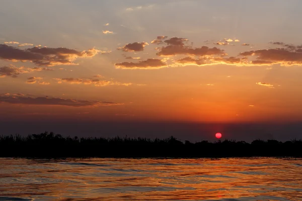 Pôr do sol africano no rio Chobe — Fotografia de Stock