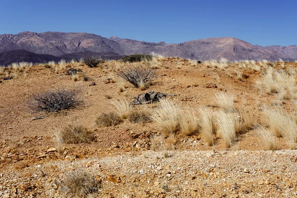 Fantrastic Namibie pouštní krajina — Stock fotografie