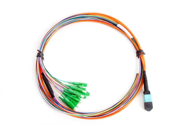 Ribbon fiber optic fun out patchcord with connector MTP — Stock Photo, Image