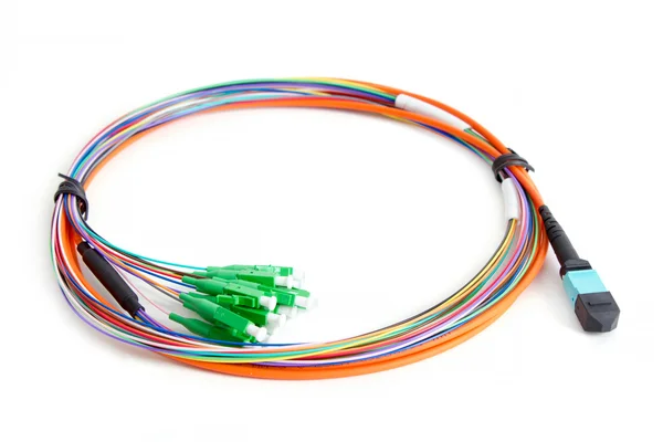 Ribbon fiber optic fun out patchcord with connector MTP — Stock Photo, Image