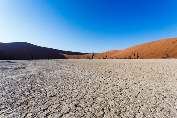 Sossusvlei hermoso paisaje del valle de la muerte, namibia — Foto de Stock