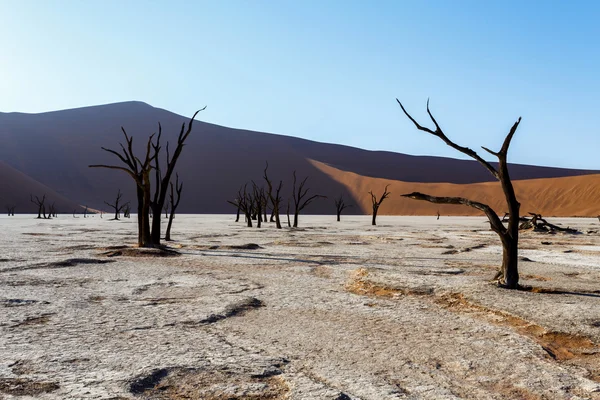 死亡之谷，纳米比亚 Sossusvlei 亮丽的风景线 — 图库照片