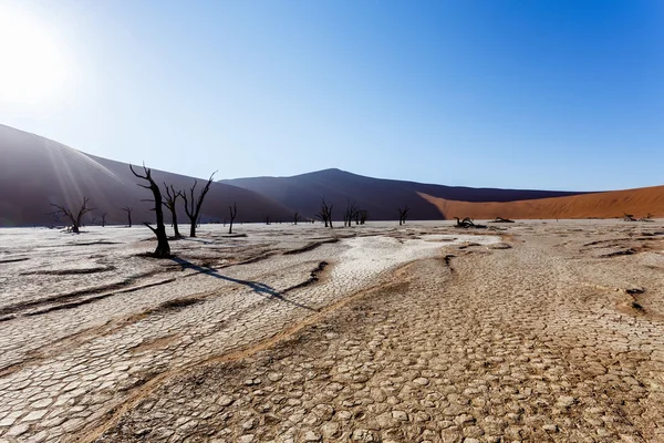 죽음의 계곡, 나미비아의 Sossusvlei 아름 다운 풍경 — 스톡 사진