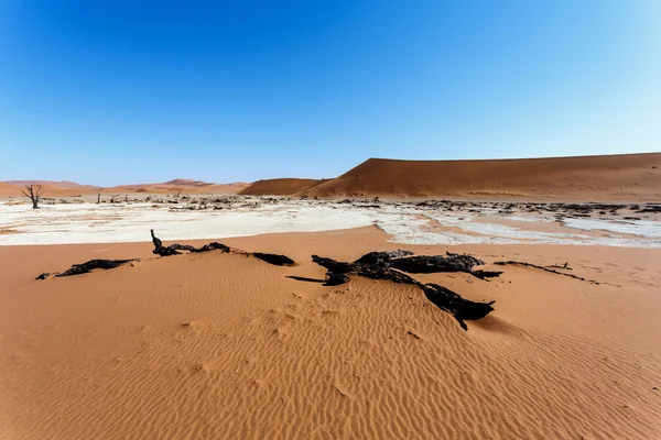 Sossusvlei красивый ландшафт долины смерти, Намибия — стоковое фото