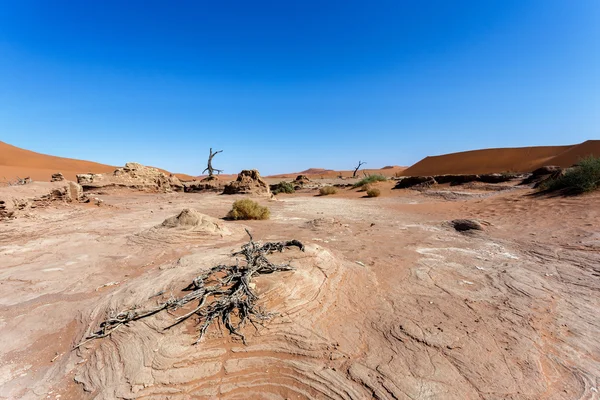 Sossusvlei vackra landskapet i death valley, namibia — Stockfoto