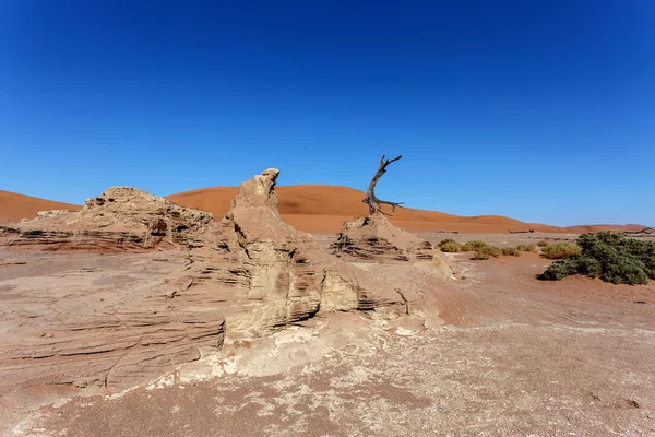 Krásná krajina Sossusvlei death Valley, Namibie — Stock fotografie
