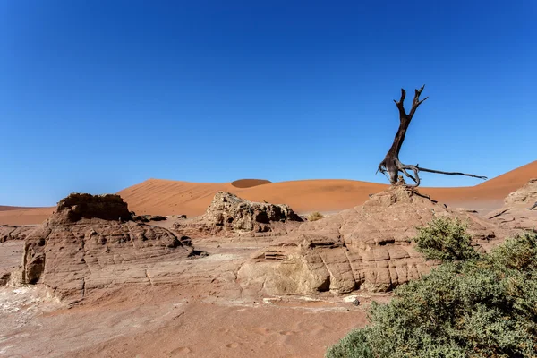 Sossusvlei красивий краєвид долини смерті, Намібія — стокове фото