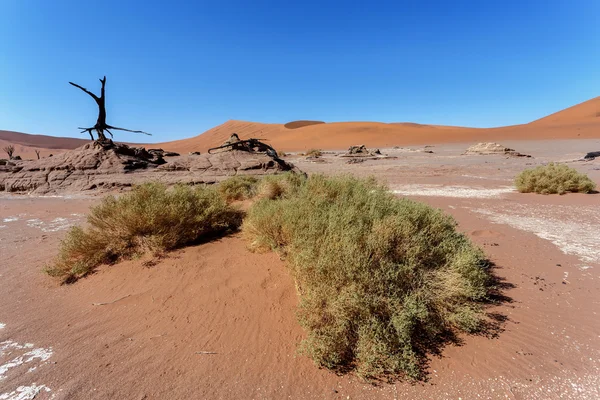 Sossusvlei bellissimo paesaggio della valle della morte, namibia — Foto Stock