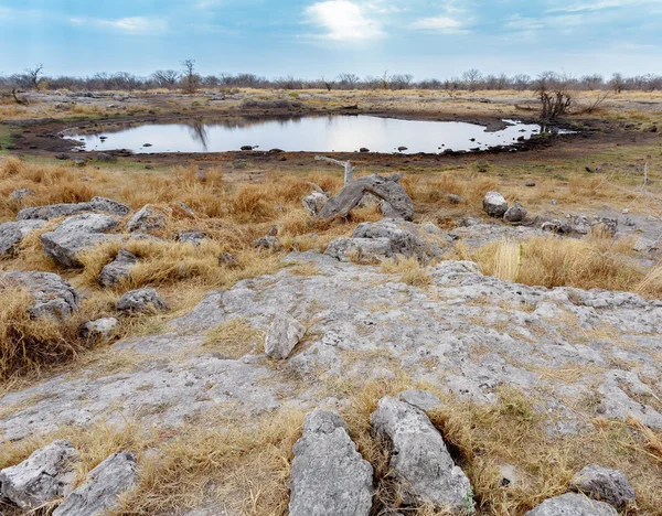 Пустой водоем в заповеднике Намибии — стоковое фото