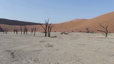 Namib gizli ölü Vlei güzel gündoğumu manzara mavi gökyüzü ile çöl, Namibya en iyi yer burası