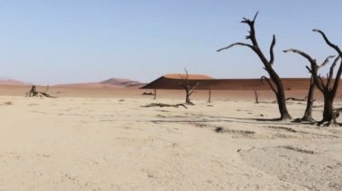 Namib gizli ölü Vlei güzel gündoğumu manzara mavi gökyüzü ile çöl, Namibya en iyi yer burası