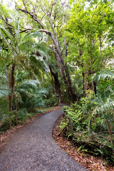 Camino en un parque Victoria Falls, Zimbabue en primavera — Foto de Stock