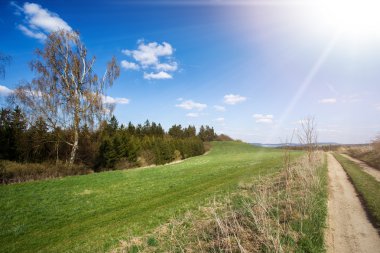çayırlar yanında ağaçları ile kırsal manzara