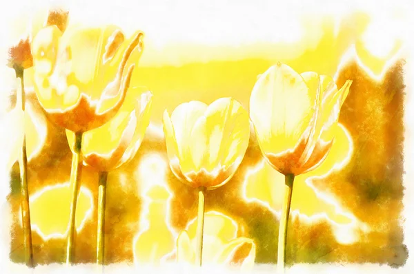 春黄色のチューリップの水彩アクヴァレル ペイント効果 — ストック写真