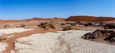 Namib Çölü panoramasında Saklı Vlei 'nin güzel manzarası