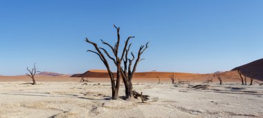Namib Çölü panoramasında Saklı Vlei 'nin güzel manzarası