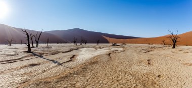 Namib Çölü panoramasında Saklı Vlei 'nin güzel manzarası