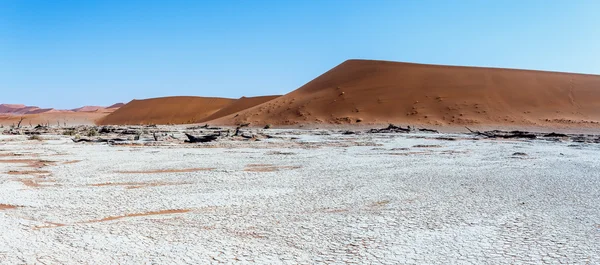 Hermoso paisaje de Hidden Vlei en Namib desierto panorama —  Fotos de Stock