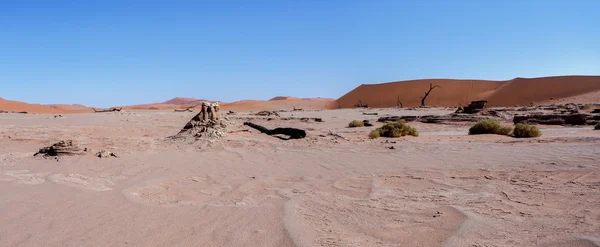 Bela paisagem de Vlei escondido no deserto do Namib panorama — Fotografia de Stock