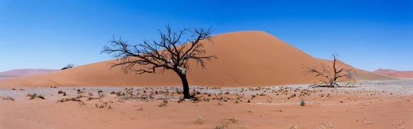 Широкая панорама Дюны 45 в Намибии — стоковое фото