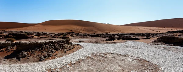 Beautiful landscape of Hidden Vlei in Namib desert panorama — Stock Photo, Image