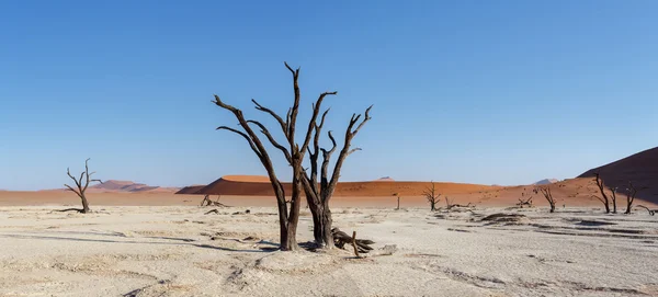 纳米布沙漠全景中隐藏的维莱的美丽风景 — 图库照片