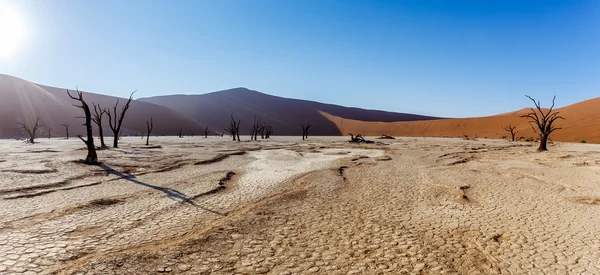 Beautiful landscape of Hidden Vlei in Namib desert panorama — Stock Photo, Image