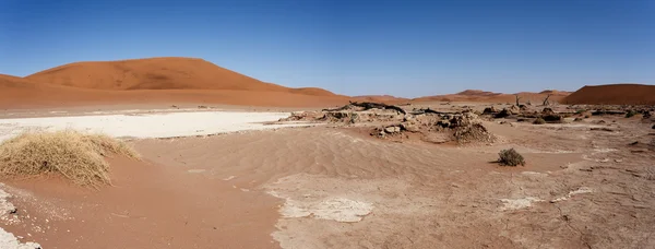 Beautiful landscape of Hidden Vlei in Namib desert panorama — Stock Photo, Image