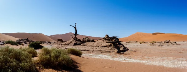 纳米布沙漠全景中隐藏的维莱的美丽风景 — 图库照片