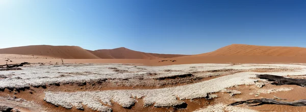 Prachtig landschap van Verborgen Vlei in Namib woestijn panorama — Stockfoto