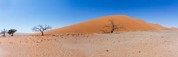 在 sossusvlei 纳米比亚的沙丘 45 宽全景 — 图库照片