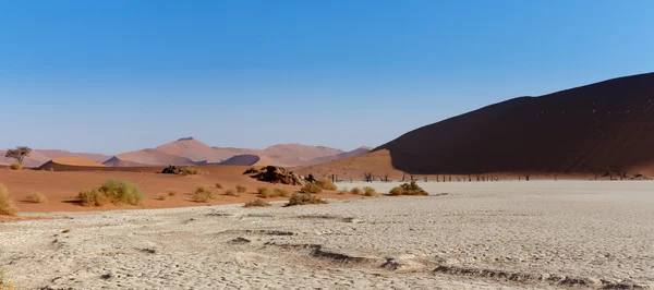 Bela paisagem de Vlei escondido no deserto do Namib panorama — Fotografia de Stock