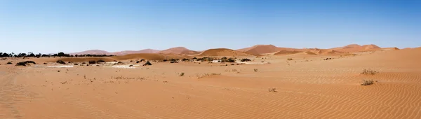 Bela paisagem de Vlei escondido no deserto do Namib panorama — Fotografia de Stock