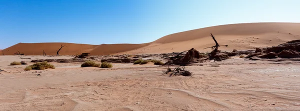 Bellissimo paesaggio di Vlei nascosti nel deserto Namib panorama — Foto Stock