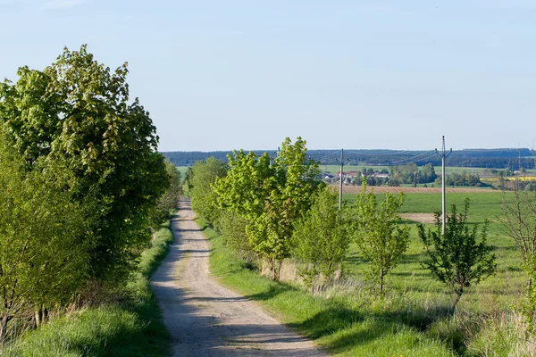Estrada rural na bela primavera paisagem rural — Fotografia de Stock
