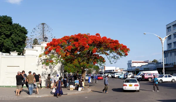 Street in Bulawayo Zimbabwe — Stock Photo, Image