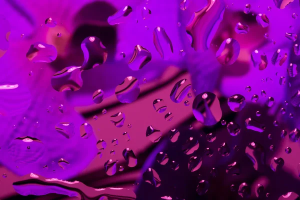 Kleur abstracte achtergrond met waterdruppels — Stockfoto