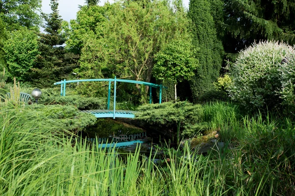 小绿色人行桥的池塘 — 图库照片