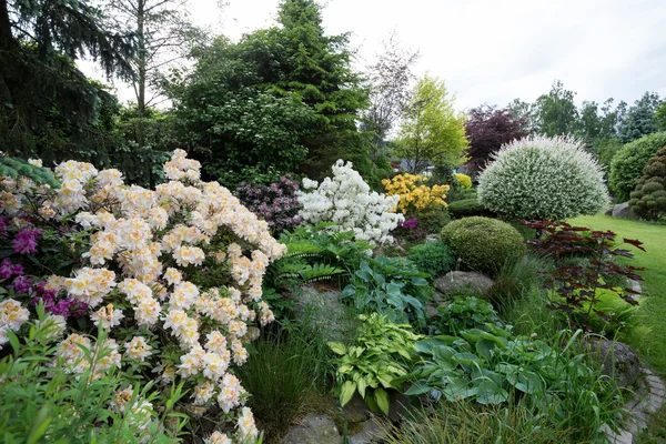 Projeto bonito do jardim da mola com rododendro — Fotografia de Stock
