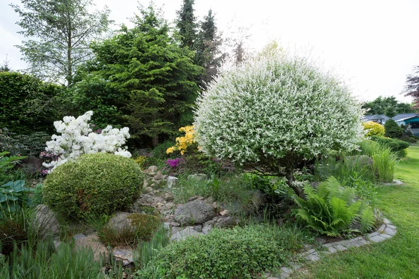 Projeto bonito do jardim da mola com rododendro — Fotografia de Stock