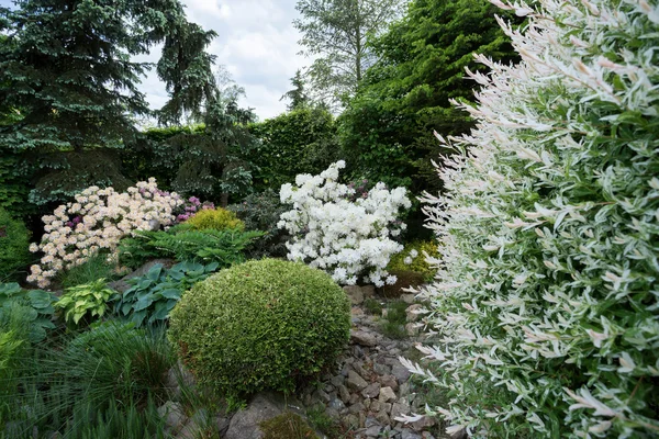 Beautiful spring garden design with rhododendron — Stock Photo, Image