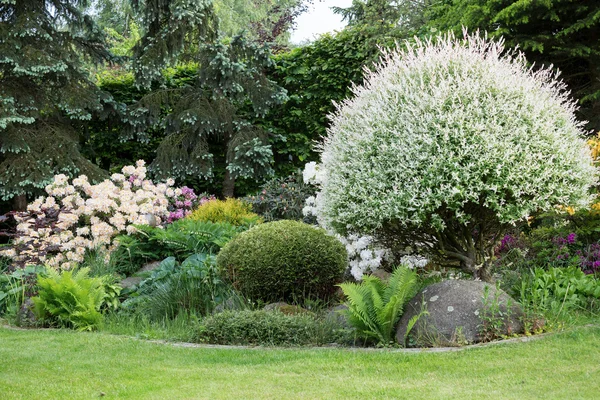 Beautiful spring garden design with rhododendron — Stock Photo, Image
