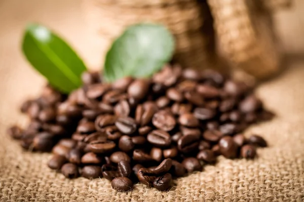 Pile of fresh beans and green leaves and spoon in jar — Stock Photo, Image