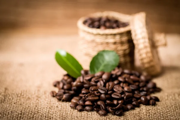 Pile of fresh beans and green leaves and spoon in jar — Stock Photo, Image