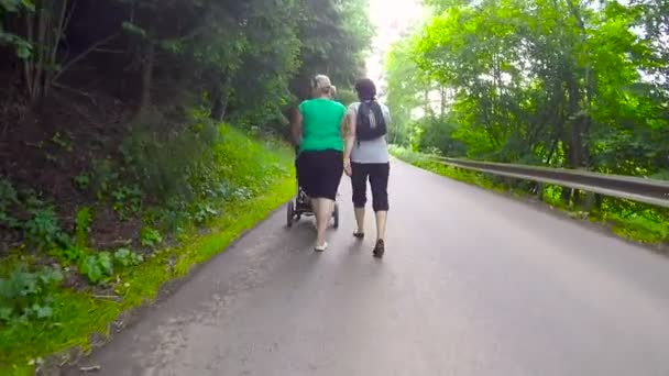 Twee vrouw duwen kinderwagen in een landelijke weg — Stockvideo