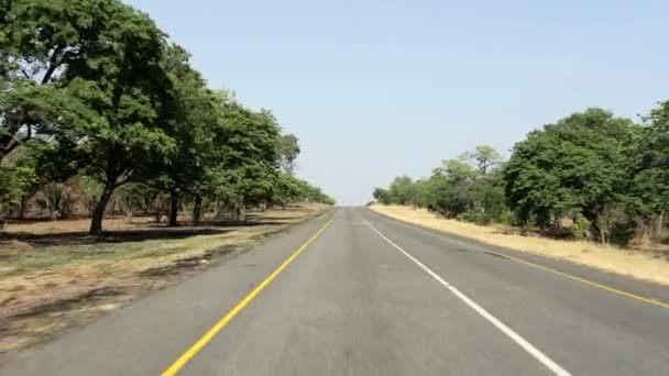 Rijden op eindeloze weg in Namibië — Stockvideo